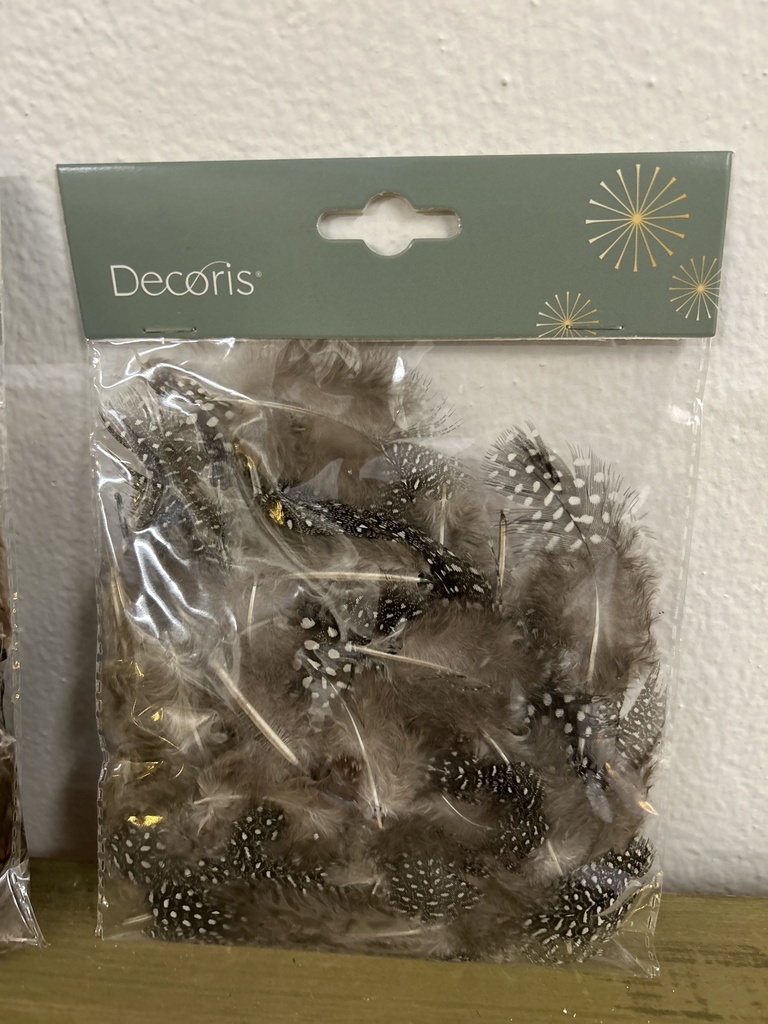 Perlhuhn-Hühnerfedern