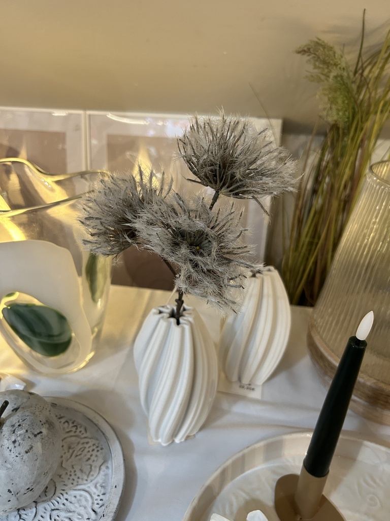 Clematisblüte