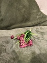 Schachbrettblume Bund
