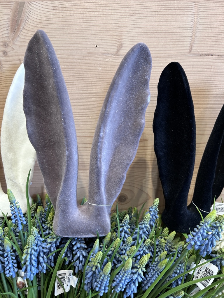 Hasenohrstecker groß