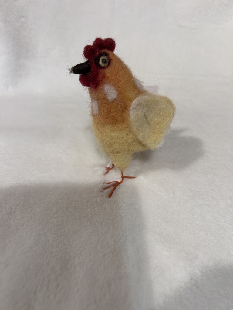 Filzhühner