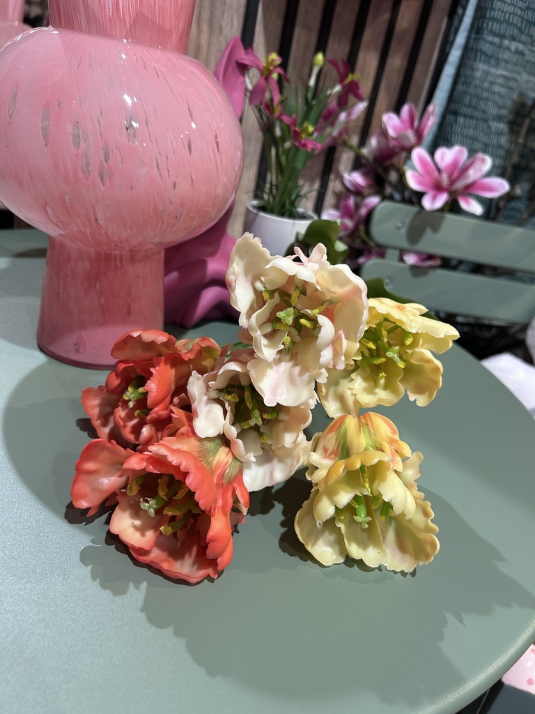 Tulpenbund Keo