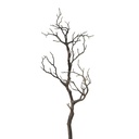 Dekoast natur
