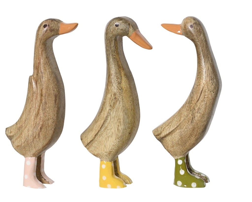 Ente Mango-Holz