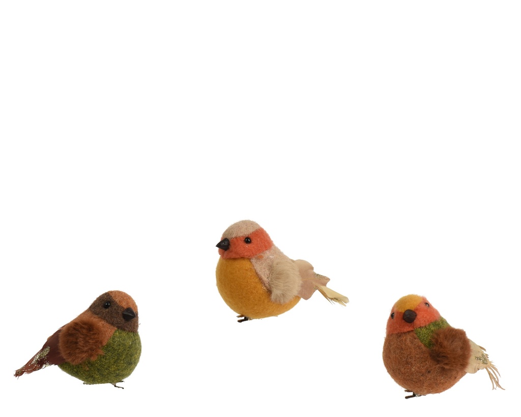 Vogel auf Clip sortiert