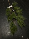 Kiefernzweig grün 81cm