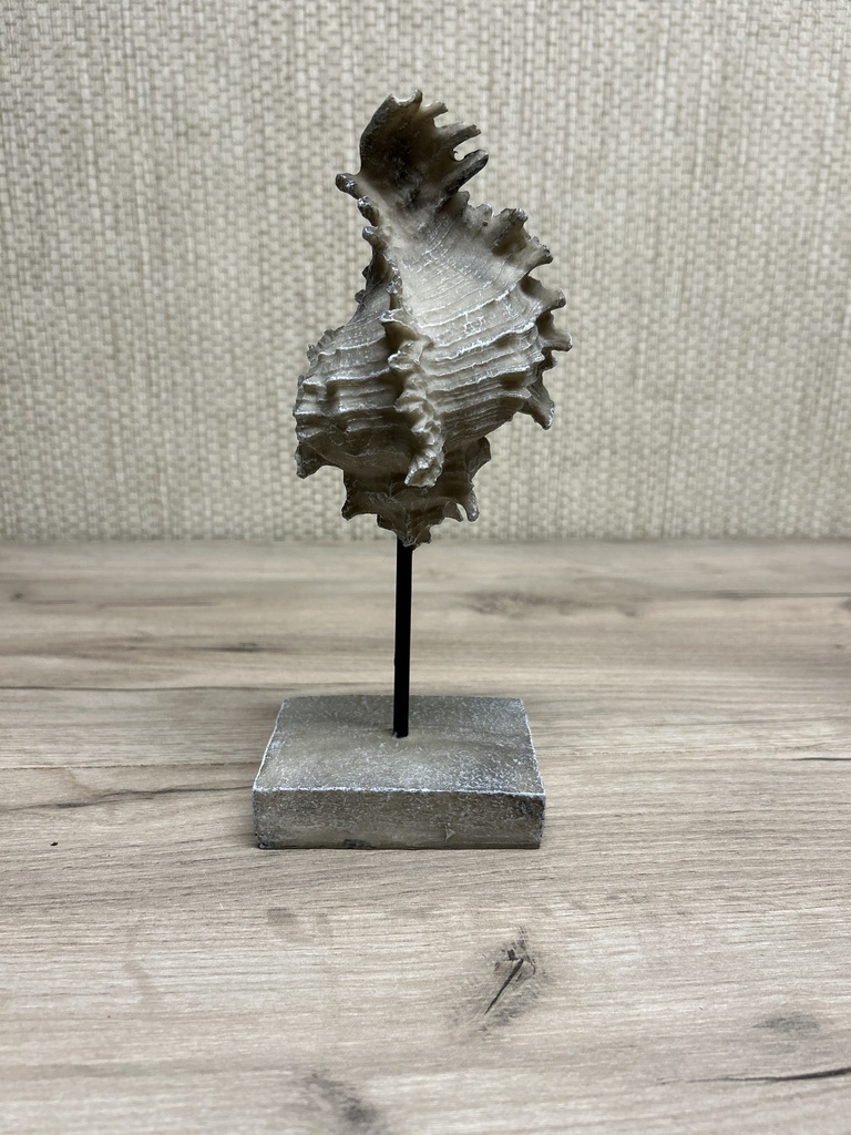 Muschel Deko-Objekt grau