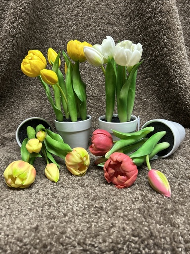 Tulpen im Keramiktopf