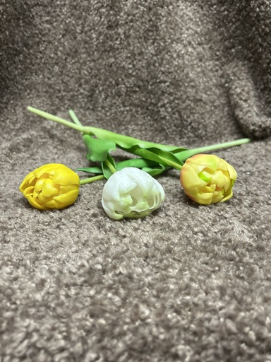 Tulpen gefüllt
