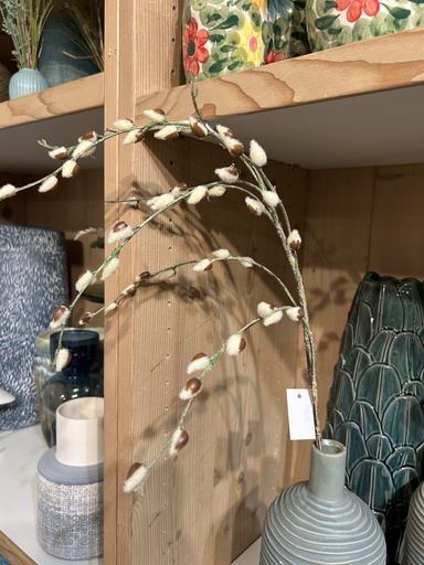 [P0001444] Weidekätzchen weiß