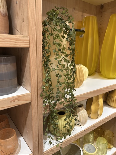 [P0001472] Mühlenbeckia-Hänger (hellgrün)