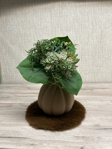 [P0001512] Sukkulenten-Mix-Bouquet