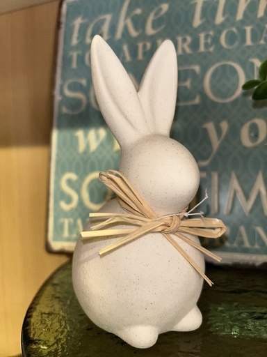 [P0001547] Hase "Ivory"