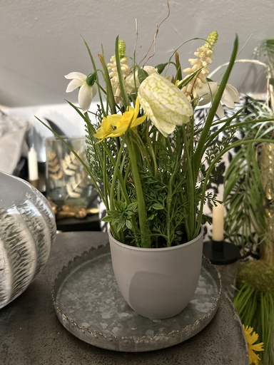 [P0001781] Frühlingsmix im Topf (grau)