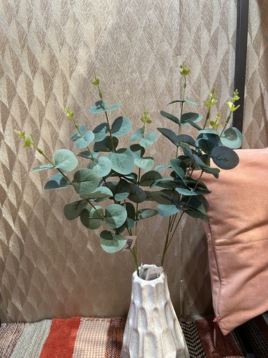 [P0001782] Eukalyptuszweig