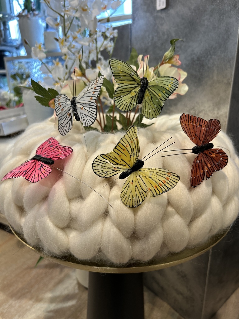 Feder Schmetterling Flori