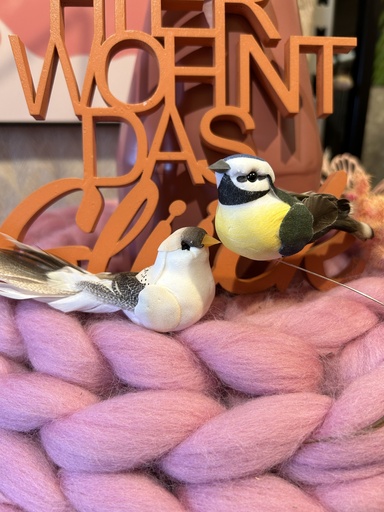 [P0001798] Feder Vogel