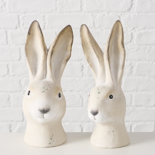 Hase Martino