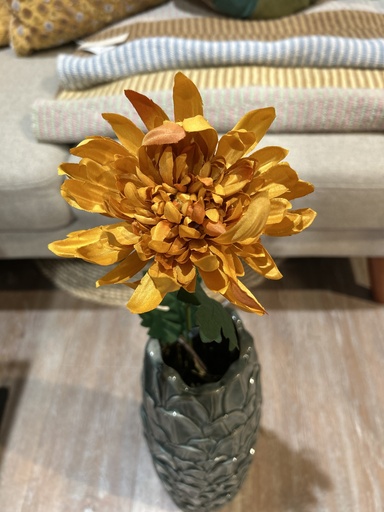 [P0001927] Chrysantheme am Stiel