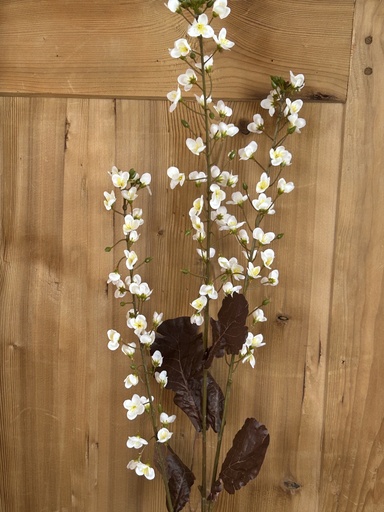 [P0002118] Blütenzweig "Primula" weiß