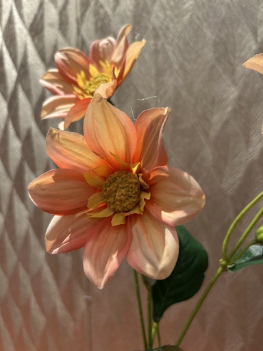 [P0002392] Dahlie (apricot)