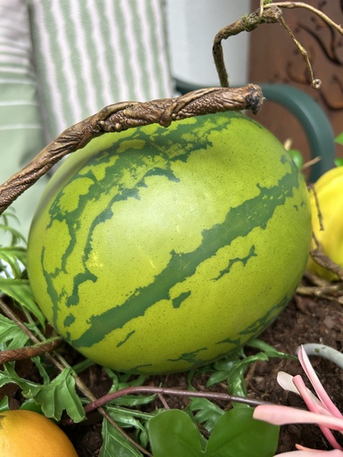[P0002437] Wassermelone (Kunststoff)