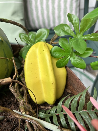 [P0002438] Sternfrucht (Kunststoff)