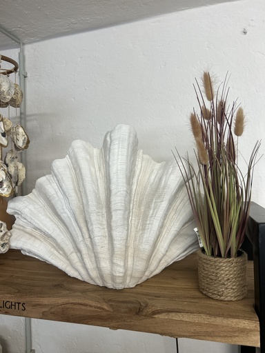 [P0002448] Muschel XL natur mit Öffnung