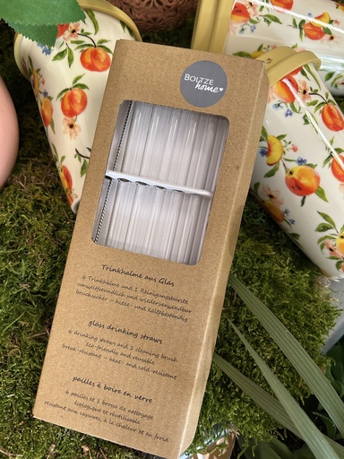 [P0002453] Trinkhalme aus Glas