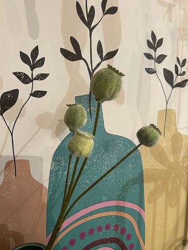 [P0002464] Mohn hellgrün