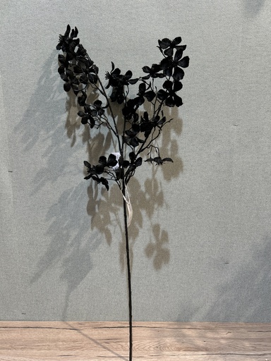 [P0002585] Blütenzweig schwarz