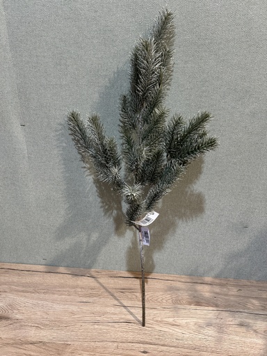 [P0002588] Blautannenzweig