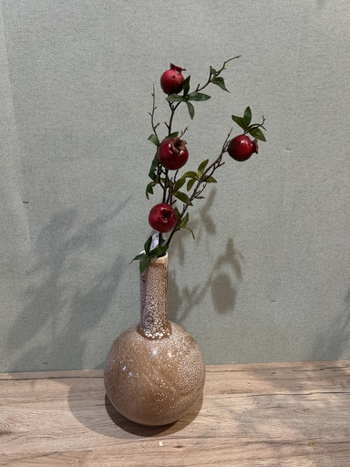 [P0002597] Granatapfelzweig