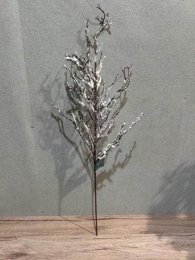 [P0002598] Winterzweig verschneit