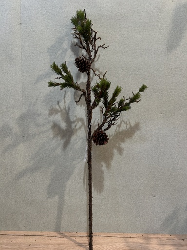 [P0002823] Kiefernzweig mit Naturzapfen