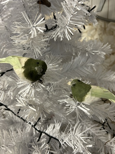 [P0002977] Vogel Set auf Clip