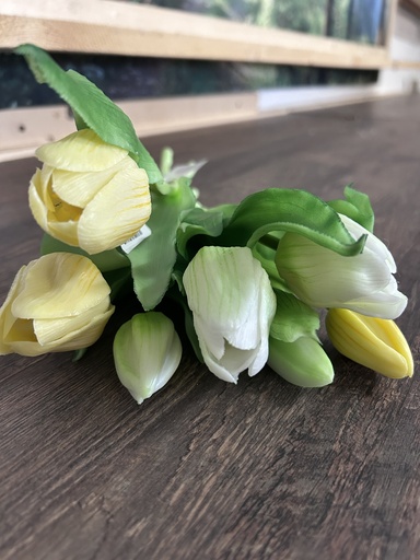 [P0003228] Tulpenbund weiß-gelb