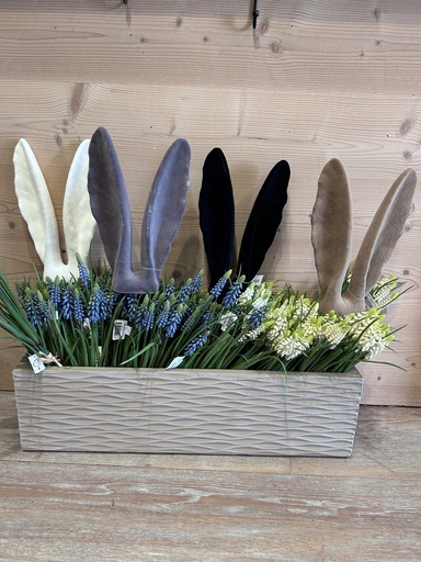 Hasenohrstecker groß