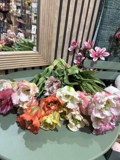 Tulpenbund Keo