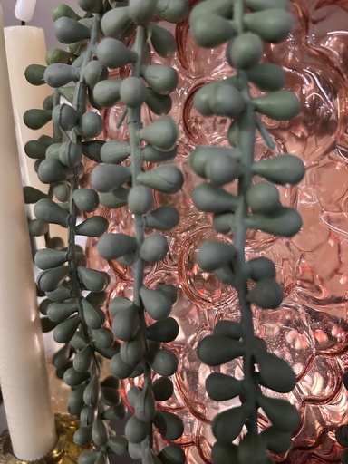 [P0003297] Sedumhänger Graugrün