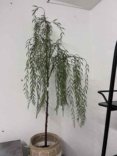 [P0003300] Weidenhängebaum