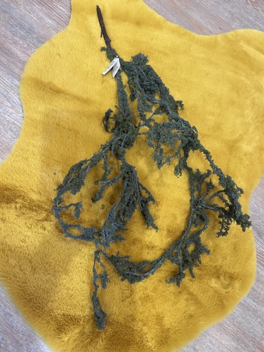 [P0003301] Flechtenhängezweig Grau-Grün