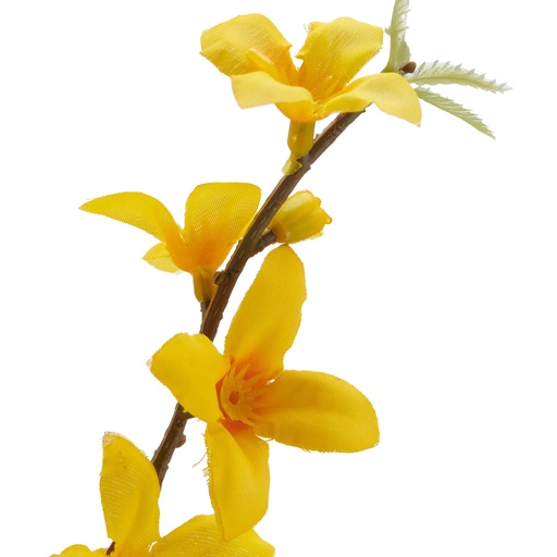 [P0003330] Forsythie Gelb