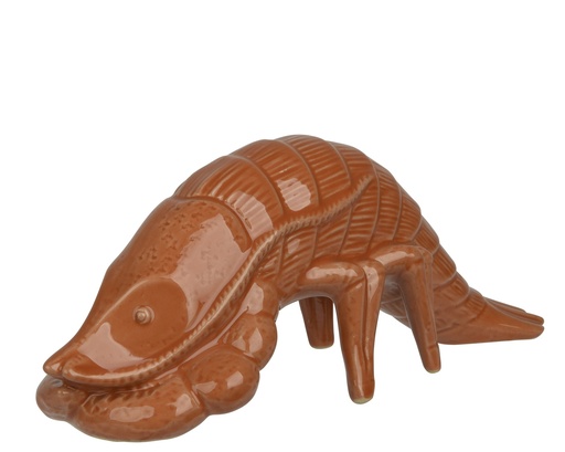 [P0003351] Meerestier orange