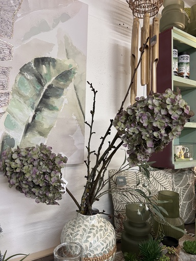 [P0003527] Rispenhortensie grün-rosa