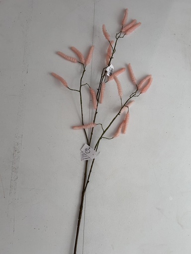 [P0003545] Acalypha apricot