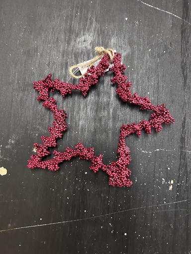 [P0003820] Stern mit Vogelbeeren künstlich