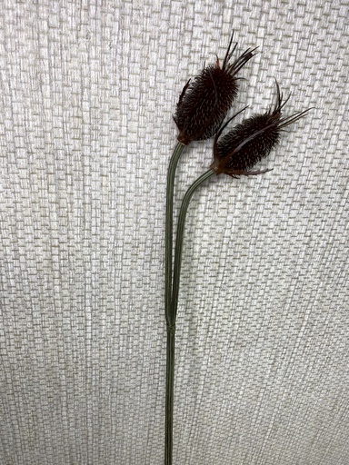[P0000268] Distel Kunstblume 77cm