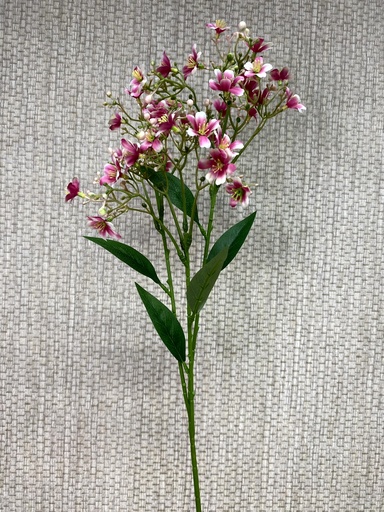 [P0000313] Schleierkraut rosa 72cm