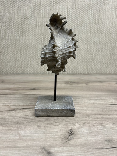 [P0000626] Muschel Deko-Objekt grau